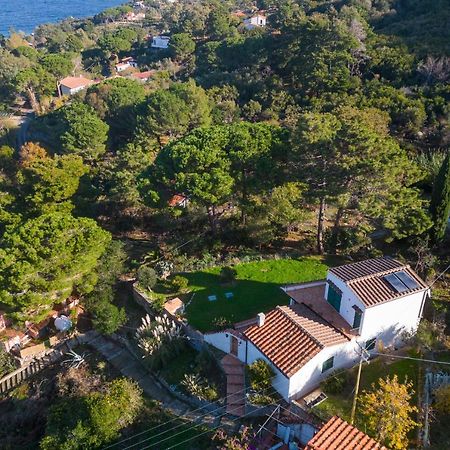 Villa Caterina Quiete E Mare-Goelba Sant'Andrea  Ngoại thất bức ảnh