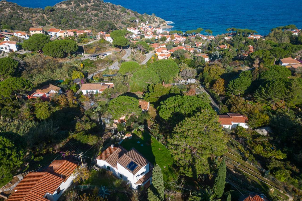 Villa Caterina Quiete E Mare-Goelba Sant'Andrea  Ngoại thất bức ảnh