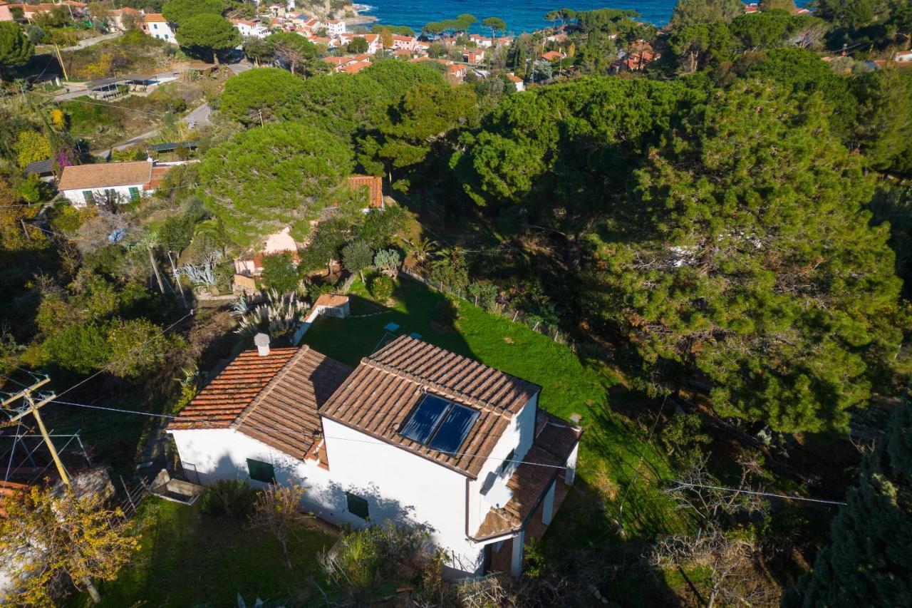 Villa Caterina Quiete E Mare-Goelba Sant'Andrea  Ngoại thất bức ảnh