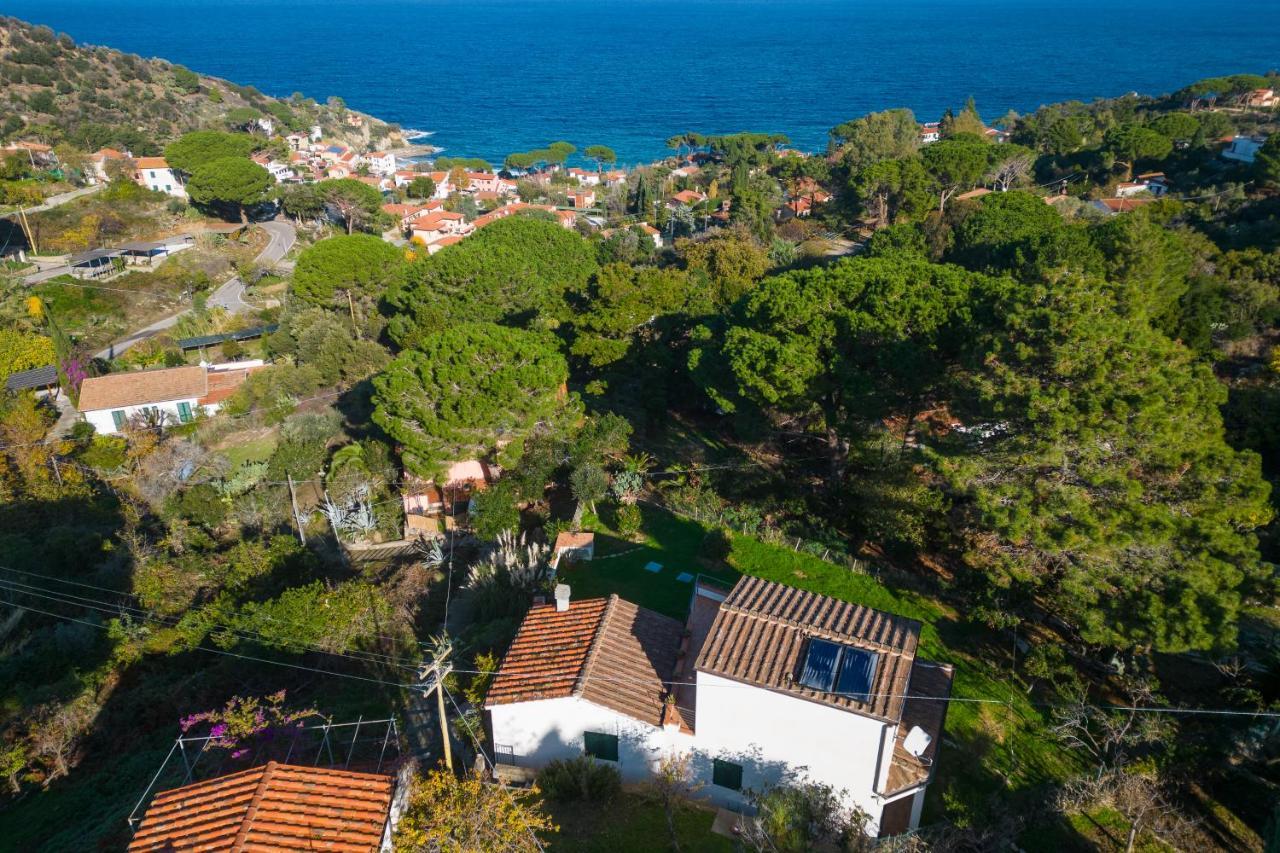 Villa Caterina Quiete E Mare-Goelba Sant'Andrea  Ngoại thất bức ảnh